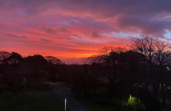 Pink morning sky